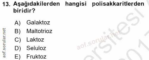 Soru 13