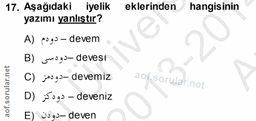 Soru 17