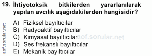 Soru 19