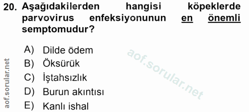 Soru 20