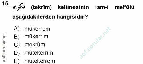 Soru 15