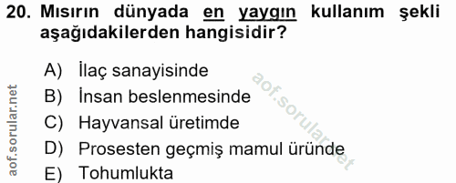 Soru 20