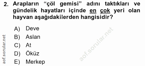 Soru 2
