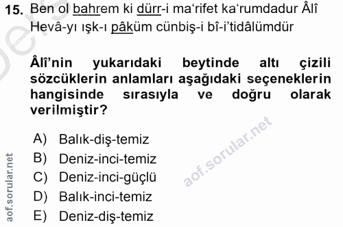 Soru 15