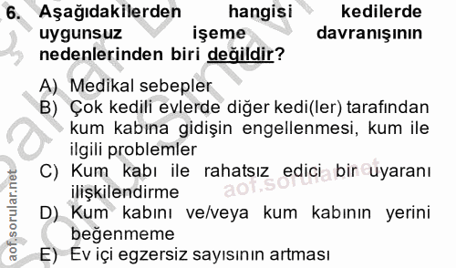 Soru 6