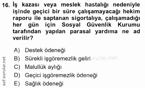 Soru 16