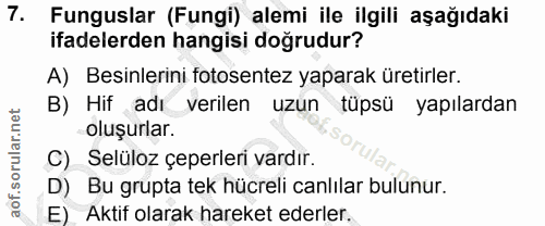 Soru 7