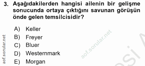 Soru 3
