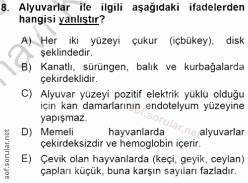 Soru 8