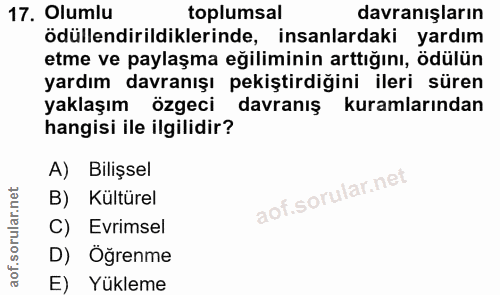 Soru 17