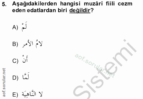 Soru 5