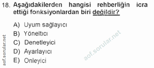 Soru 18