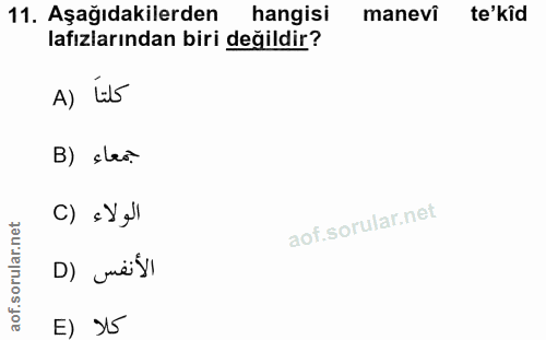 Soru 11