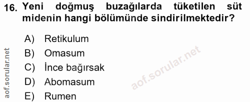 Soru 16