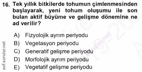 Soru 16