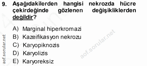 Soru 9