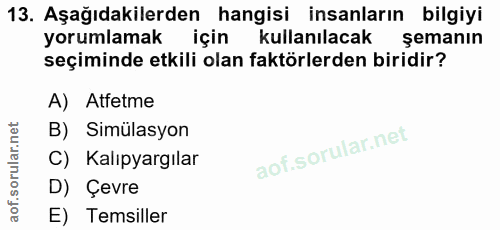 Soru 13
