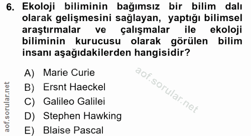 Soru 6