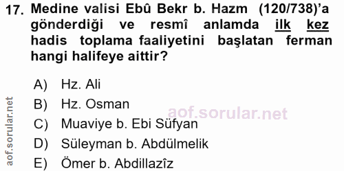 Soru 17