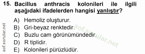 Soru 15