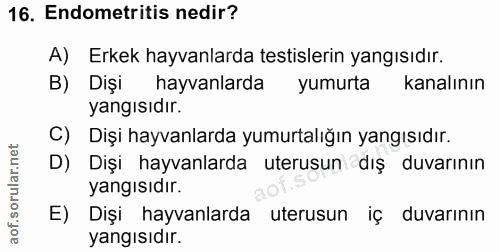 Soru 16