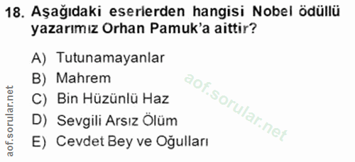 Soru 18