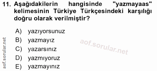 Soru 11