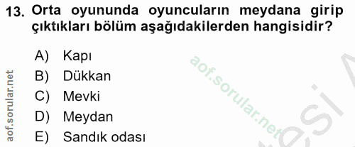 Soru 13