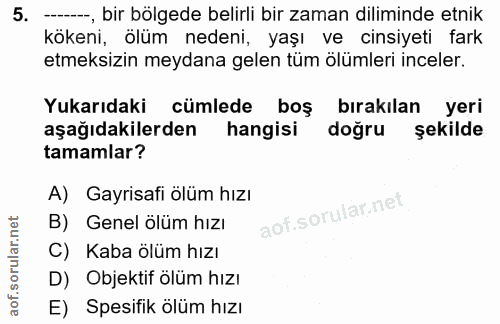 Soru 5
