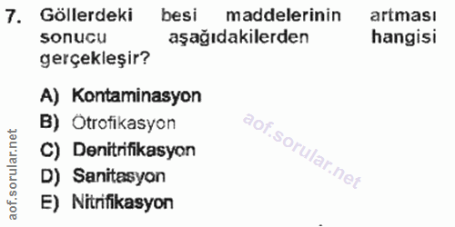 Soru 7