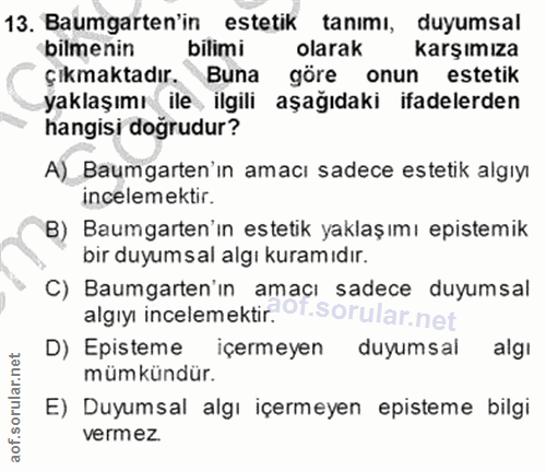 Soru 13