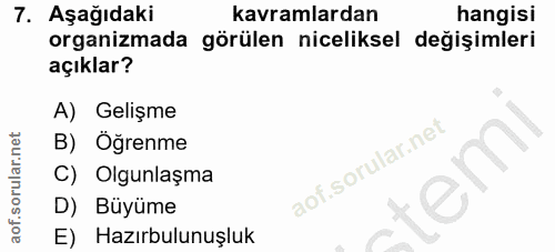 Soru 7