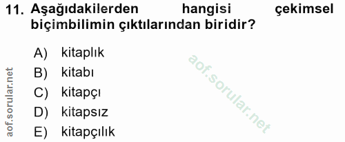 Soru 11
