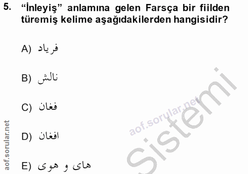 Soru 5