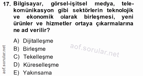 Soru 17