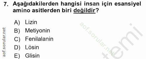 Soru 7