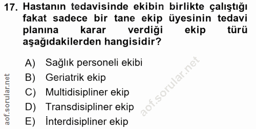 Soru 17