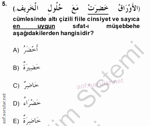 Soru 5