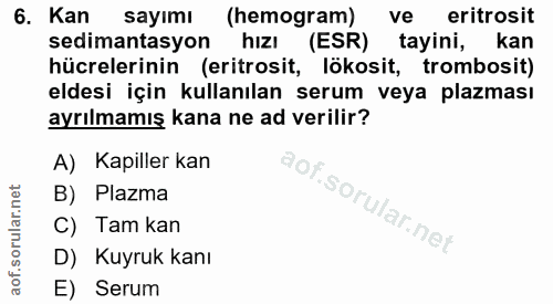 Soru 6