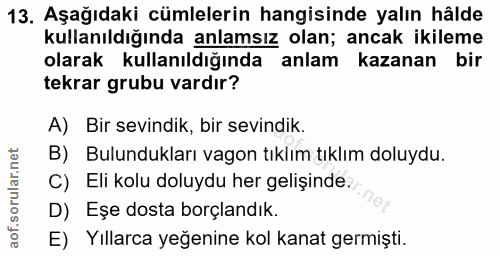 Soru 13