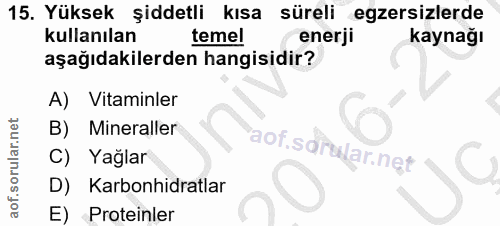 Soru 15