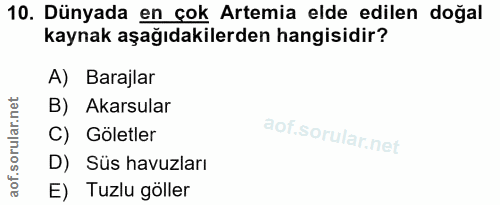 Soru 10