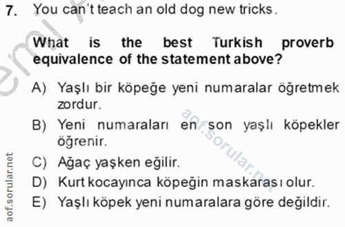 Soru 7