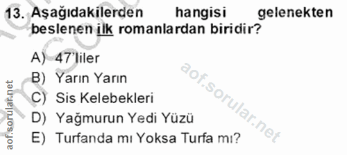 Soru 13