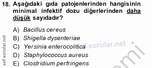 Soru 18