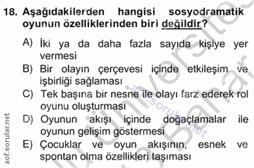 Soru 18