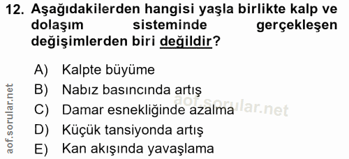 Soru 12