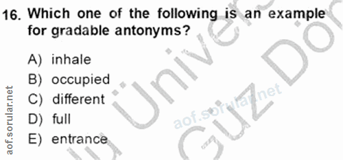 Soru 16