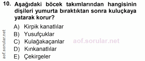 Soru 10