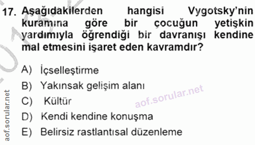 Soru 17